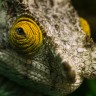 s-n-pattenden-qkzkrx9ikwi-unsplash